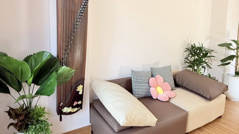 Cách chăm sóc cây cảnh cho căn hộ chung cư đơn giản, hiệu quả và đẹp mắt