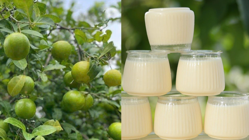 Cách làm mờ nám và tàn nhang từ nguyên liệu tự nhiên tại nhà