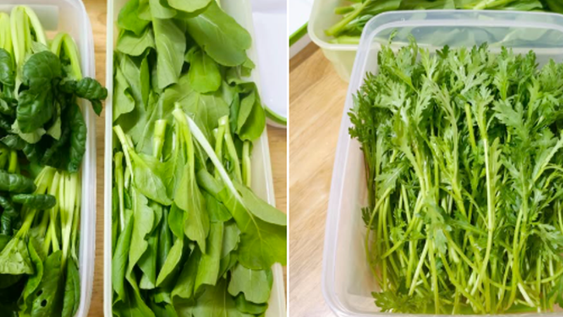 Cách bảo quản rau củ tươi lâu trong tủ lạnh đúng cách